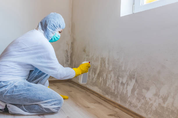 Licensed Commercial Mold Remediation service in Nottingham, PA - Car Mold Remediation